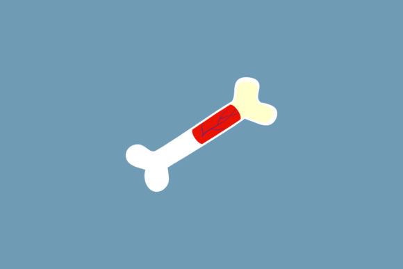 Medical Donor Organs Icon: Graphics and Icons